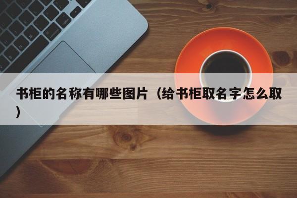 书柜的名称有哪些图片（给书柜取名字怎么取）