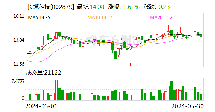 长缆科技（002879.SZ）：公司将适时推进国际并购 实现国际业务的增长  第1张