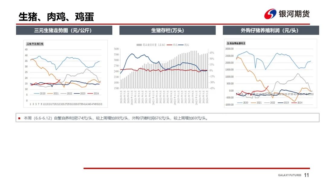 【玉米和淀粉周报】华北玉米继续上涨 盘面偏强震荡  第13张