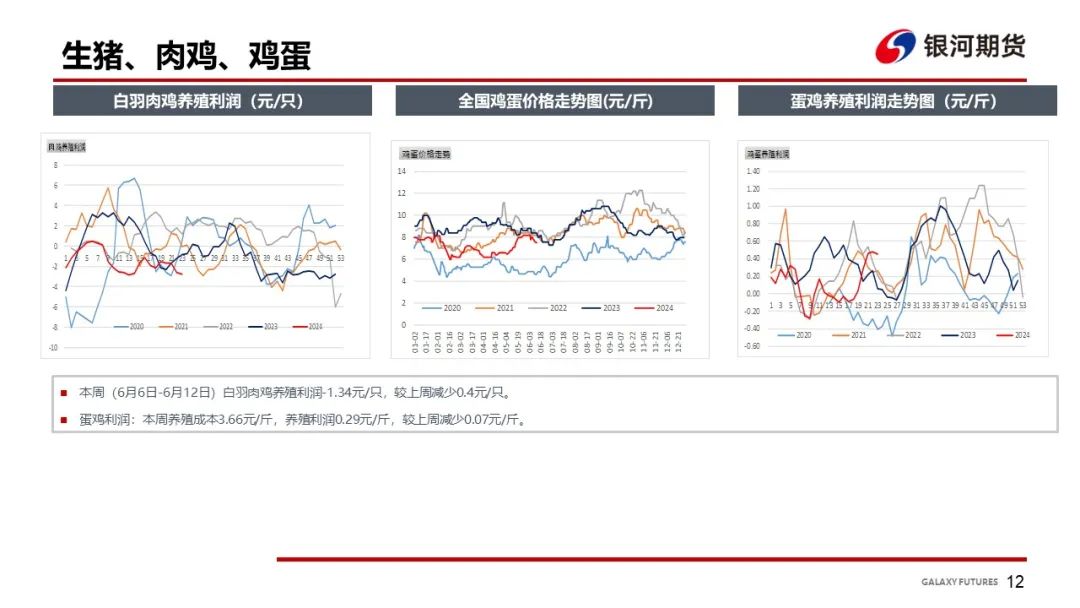 【玉米和淀粉周报】华北玉米继续上涨 盘面偏强震荡  第14张