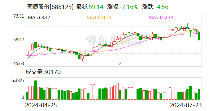 聚辰股份：上半年净利润同比预增124.93%  第1张